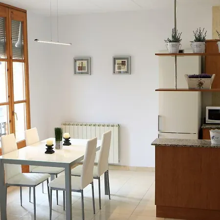 Cal Fasi Apartment Tora de Riubregos